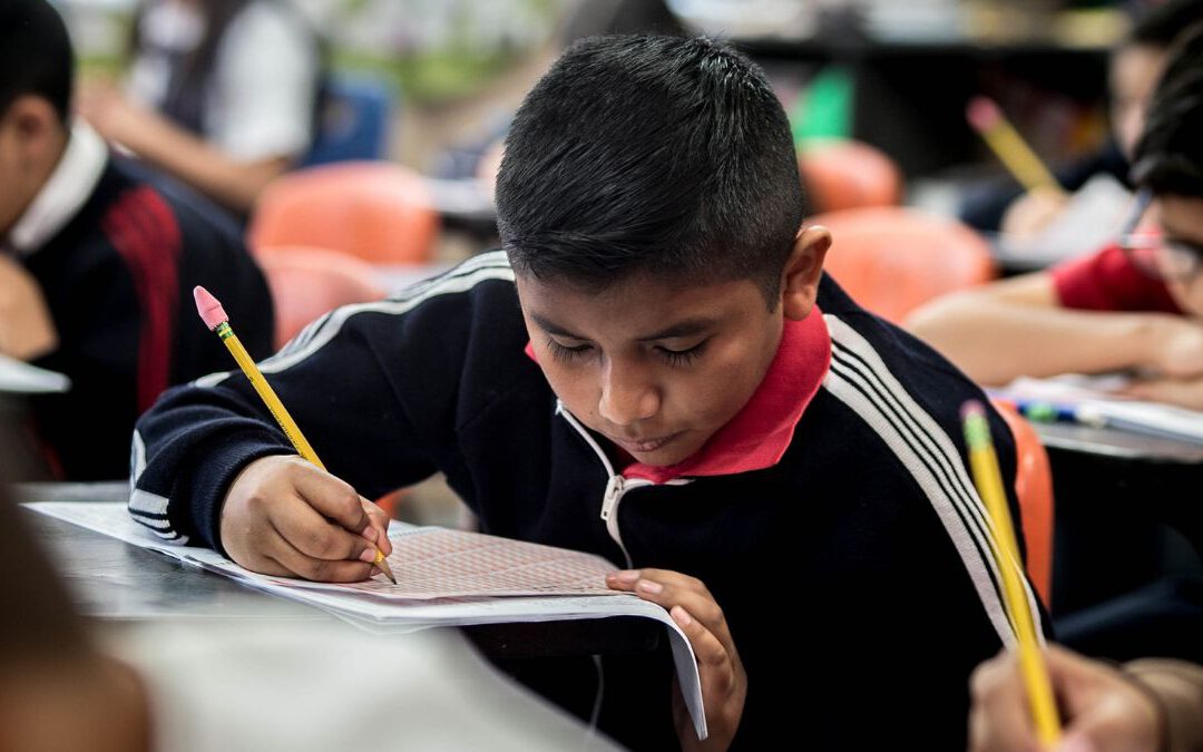 Programas de apoyo y becas: Cómo participar en las nuevas convocatorias Edunova